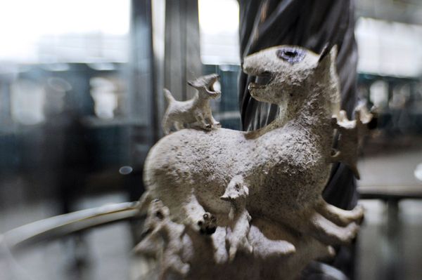 Darwin Museum Exhibit Kicks off in Moscow Subway - Sputnik International