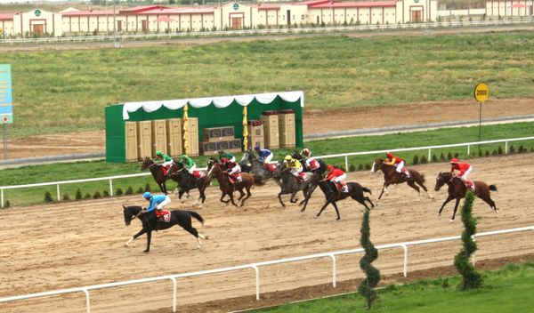 Horse Races Horse Races - Sputnik International