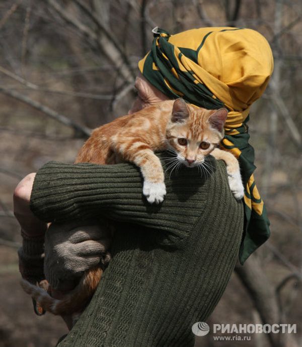 Zoya Andryushchenko and the Animals She Saves - Sputnik International