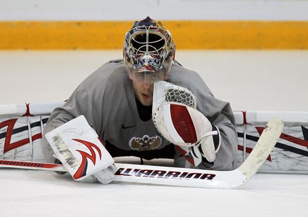 Semyon Varlamov - Sputnik International