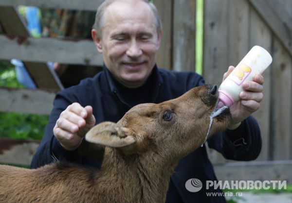 Premier Vladimir Putin’s 10 Premieres - Sputnik International