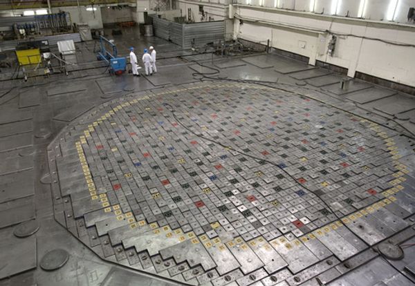 A nuclear reactor at a Nuclear Power Plant. A nuclear reactor at a Nuclear Power Plant. - Sputnik International