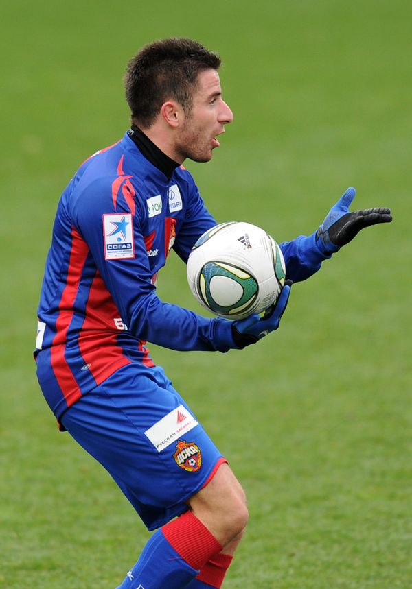 Zoran Tosic - Sputnik International