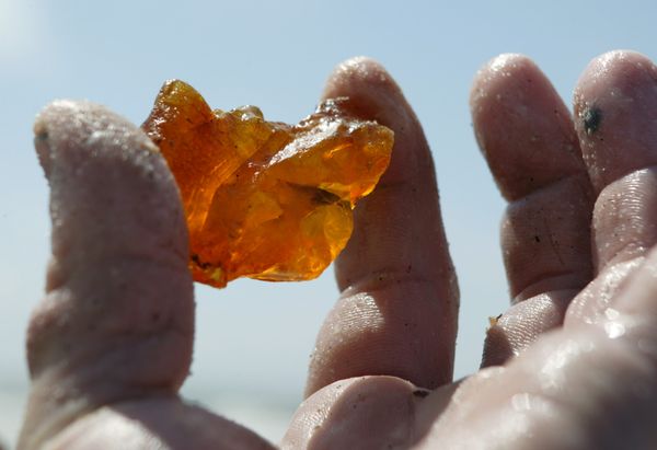 Piece of amber - Sputnik International