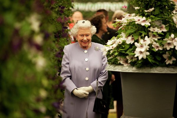 Chelsea Flower Show to Celebrate Anniversary of Elizabeth II’s Reign  - Sputnik International