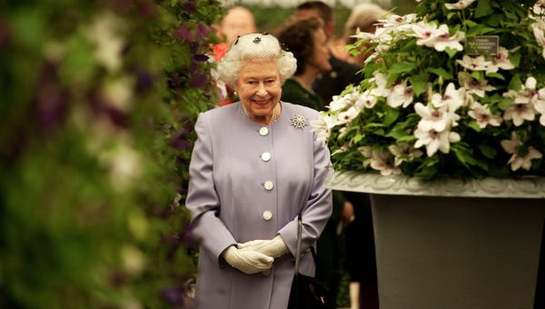 New DNA analysis of the remains of one of England’s most well-known monarchs, King Richard III, has led to fresh questions over the legitimacy of the present British Royal family, the House of Windsor. - Sputnik International