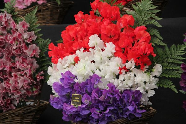 Chelsea Flower Show to Celebrate Anniversary of Elizabeth II’s Reign  - Sputnik International