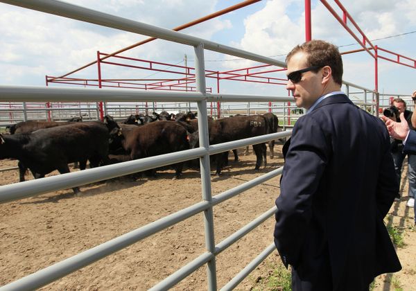Dmitry Medvedev - Sputnik International