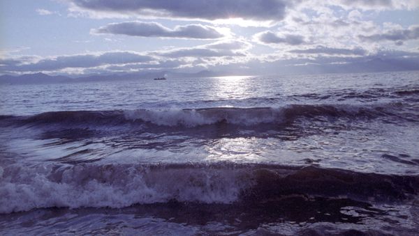 Pacific Ocean - Sputnik International
