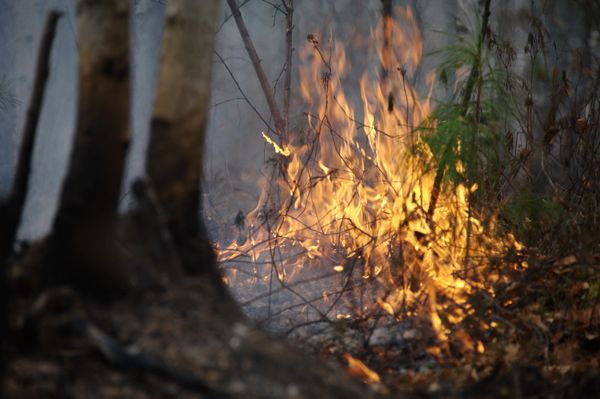 Russia Continues Battling Wildfires in Far East Russia Continues Battling Wildfires in Far East - Sputnik International