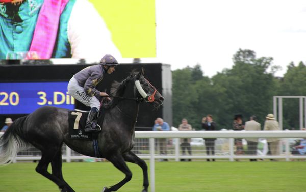 The Sputnik Intelligent Punter's Guide to the 2020 Cheltenham Festival: Second Part The Sputnik Intelligent Punter's Guide to the 2020 Cheltenham Festival: Second Part - Sputnik International