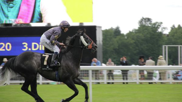 Ascot Racecourse (File photo) - Sputnik International