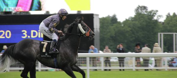 Ascot Racecourse (File photo) Ascot Racecourse (File photo) - Sputnik International