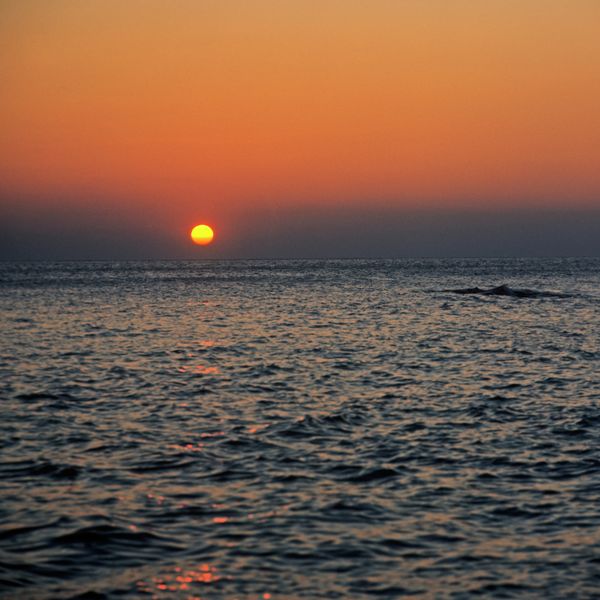 Sea of Japan - Sputnik International