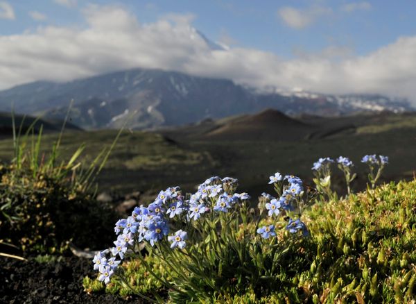 Kamchatka Peninsula: Where the Earth Ends - Sputnik International