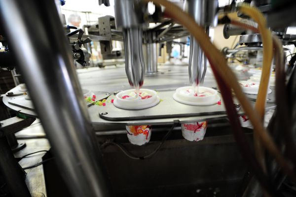 How Ice Cream is Made How Ice Cream is Made - Sputnik International