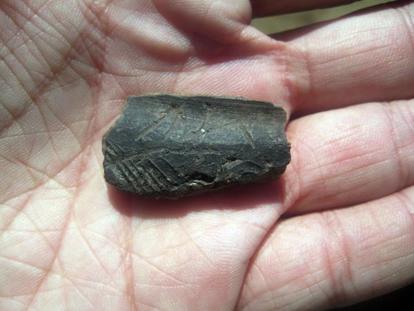 Norsemen Settlement from the 10th Century - Sputnik International