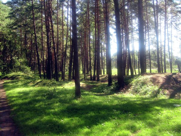 Norsemen Settlement from the 10th Century - Sputnik International