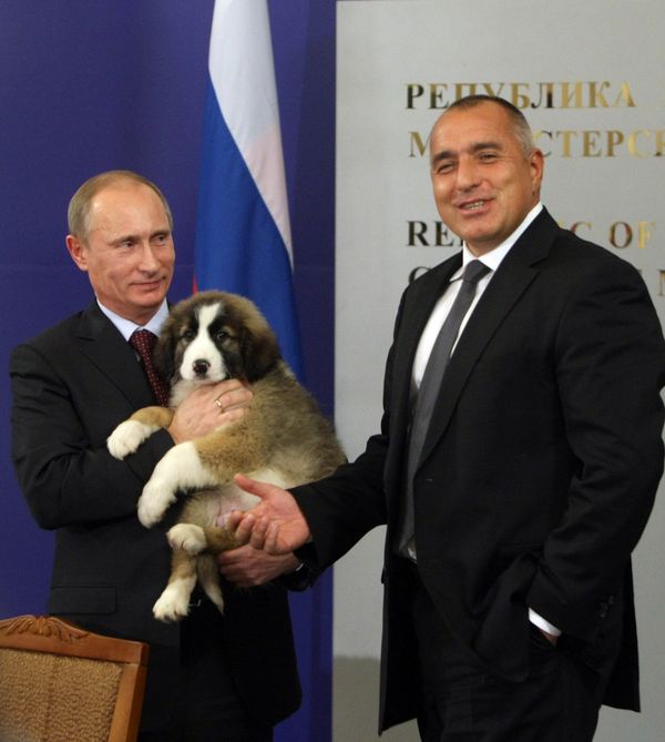 Vladimir Putin’s Four-legged Gifts  - Sputnik International