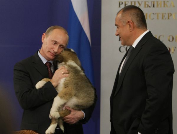 Vladimir Putin’s Four-legged Gifts  - Sputnik International