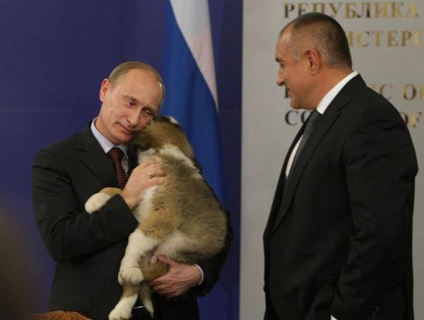 Vladimir Putin’s Four-legged Gifts  - Sputnik International