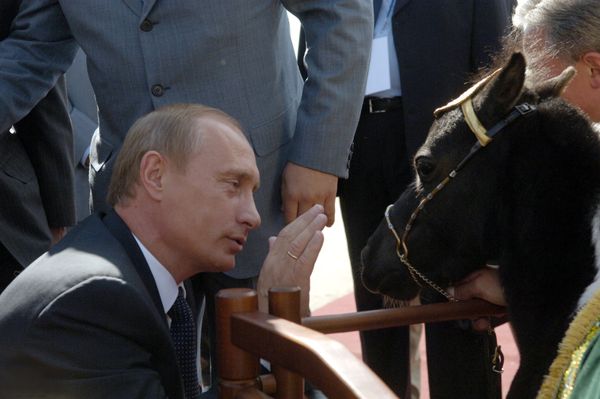 Vladimir Putin’s Four-legged Gifts  - Sputnik International