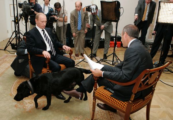 Vladimir Putin’s Four-legged Gifts  - Sputnik International
