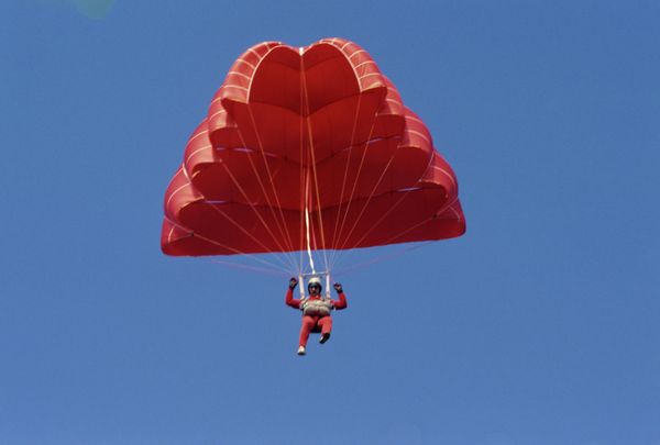 Skydivers: Born to Fly Skydivers: Born to Fly - Sputnik International