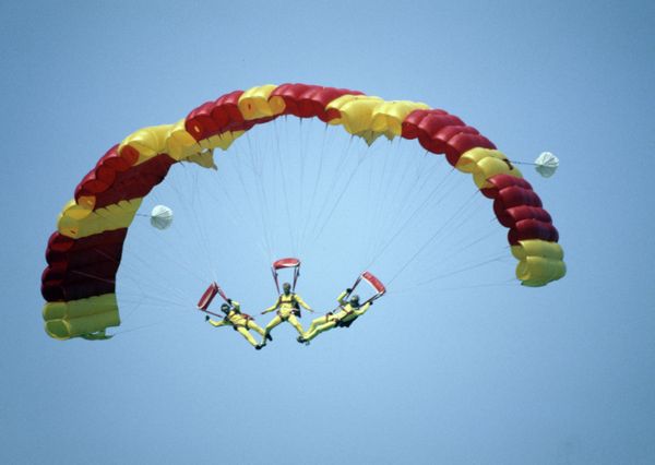 Skydivers: Born to Fly Skydivers: Born to Fly - Sputnik International