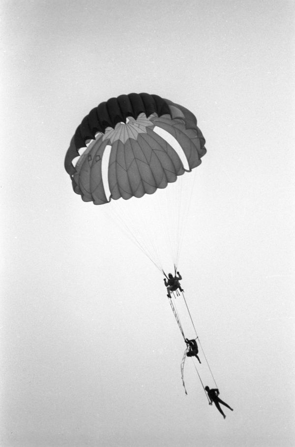 Skydivers: Born to Fly Skydivers: Born to Fly - Sputnik International