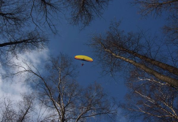 Skydivers: Born to Fly Skydivers: Born to Fly - Sputnik International