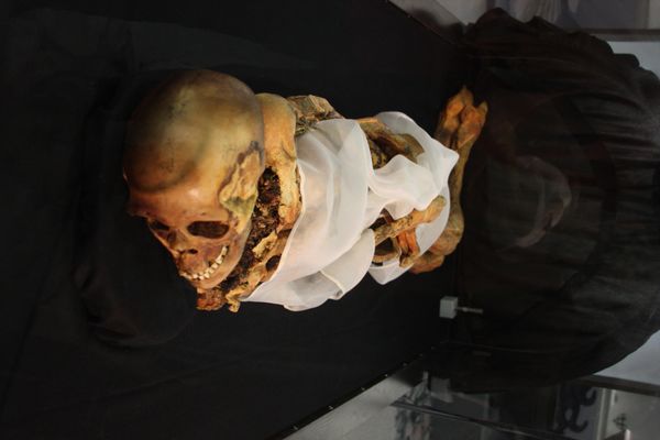 25-century-old Altai Princess was discovered in 1993 on the Ukok plateau 25-century-old Altai Princess was discovered in 1993 on the Ukok plateau - Sputnik International