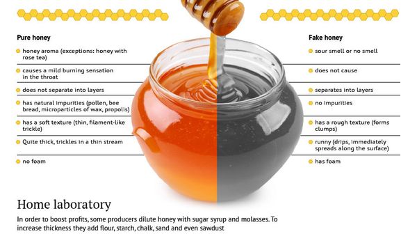 Bee Labor or Industrial Product: How to Distinguish Natural Honey - Sputnik International