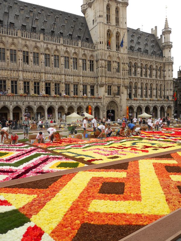 Flower Carpet on Brussels Main Square  - Sputnik International