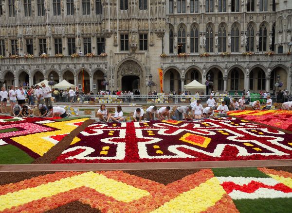 Flower Carpet on Brussels Main Square  - Sputnik International