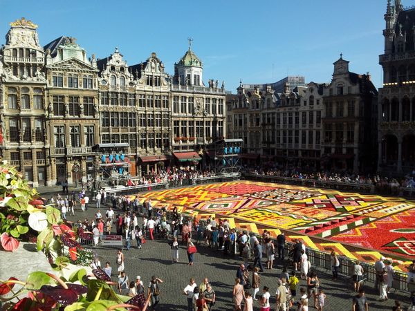 Flower Carpet on Brussels Main Square  - Sputnik International