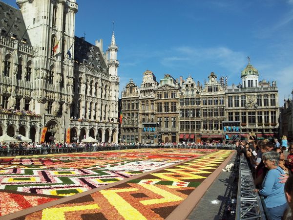 Flower Carpet on Brussels Main Square  - Sputnik International
