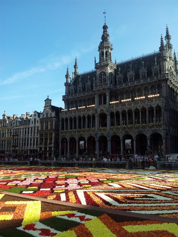 Flower Carpet on Brussels Main Square  - Sputnik International