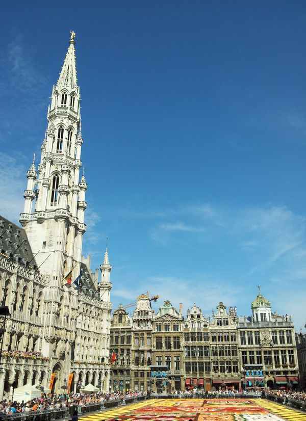 Flower Carpet on Brussels Main Square  - Sputnik International