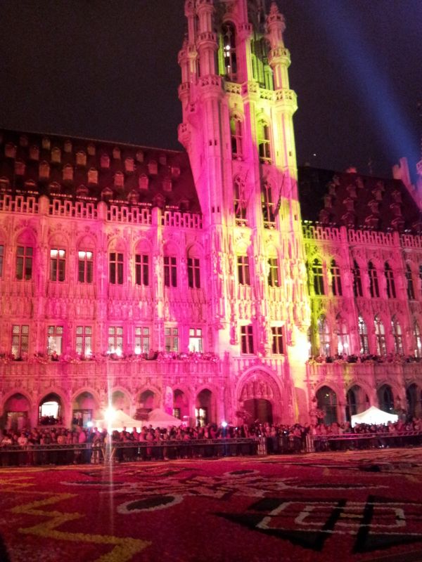 Flower Carpet on Brussels Main Square  - Sputnik International