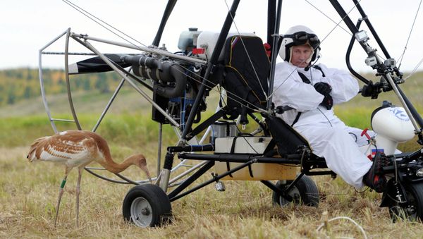 Russian President Vladimir Putin takes part in The Flight of Hope project - Sputnik International