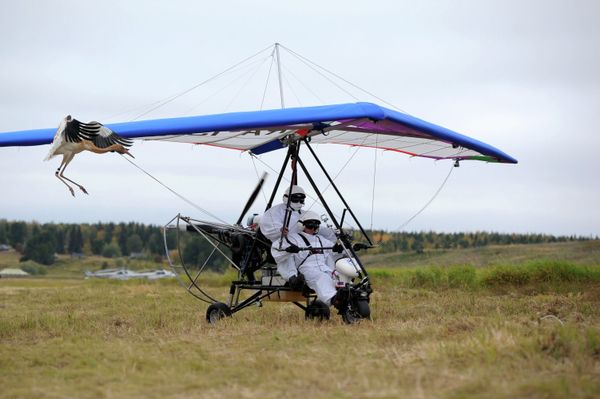 Vladimir Putin Takes Part in Flight of Hope Project Vladimir Putin Takes Part in Flight of Hope Project - Sputnik International