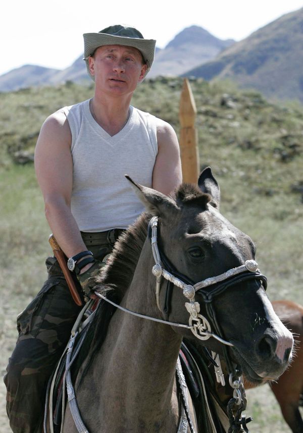Vladimir Putin, the Animal Lover Vladimir Putin, the Animal Lover - Sputnik International