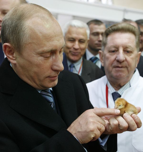Vladimir Putin, the Animal Lover Vladimir Putin, the Animal Lover - Sputnik International