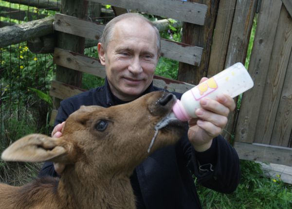 Vladimir Putin, the Animal Lover Vladimir Putin, the Animal Lover - Sputnik International