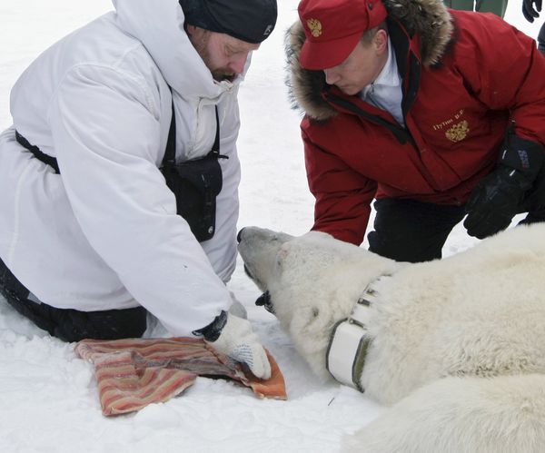 Vladimir Putin, the Animal Lover Vladimir Putin, the Animal Lover - Sputnik International
