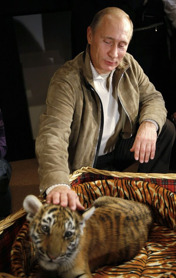 Vladimir Putin, the Animal Lover Vladimir Putin, the Animal Lover - Sputnik International