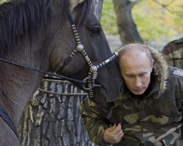 Vladimir Putin, the Animal Lover Vladimir Putin, the Animal Lover - Sputnik International