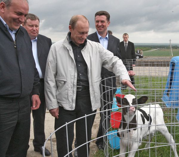 Vladimir Putin, the Animal Lover Vladimir Putin, the Animal Lover - Sputnik International