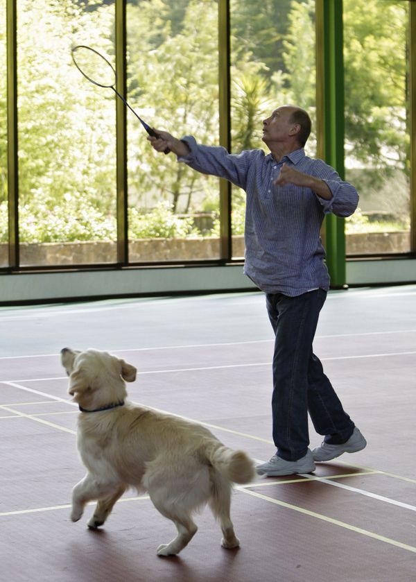 Vladimir Putin, the Animal Lover Vladimir Putin, the Animal Lover - Sputnik International